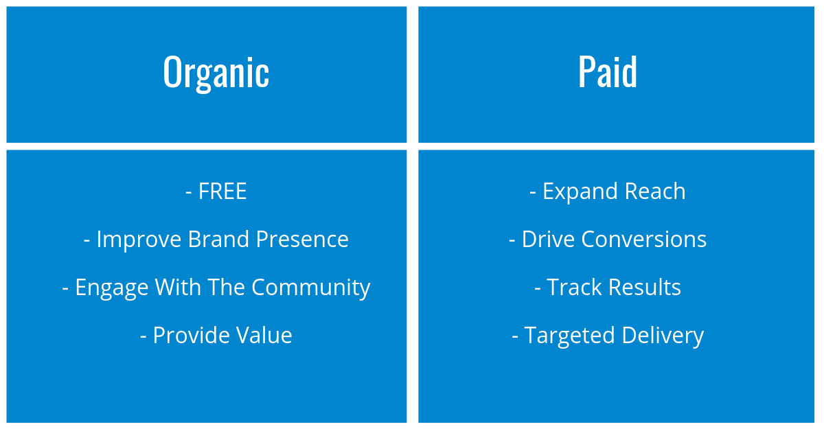 Organic vs Paid Advertisement