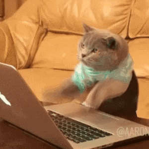 Busy Cat Frantically Creating Social Media Content