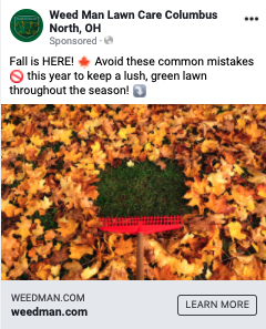 Weed Man Case Study Ad Example